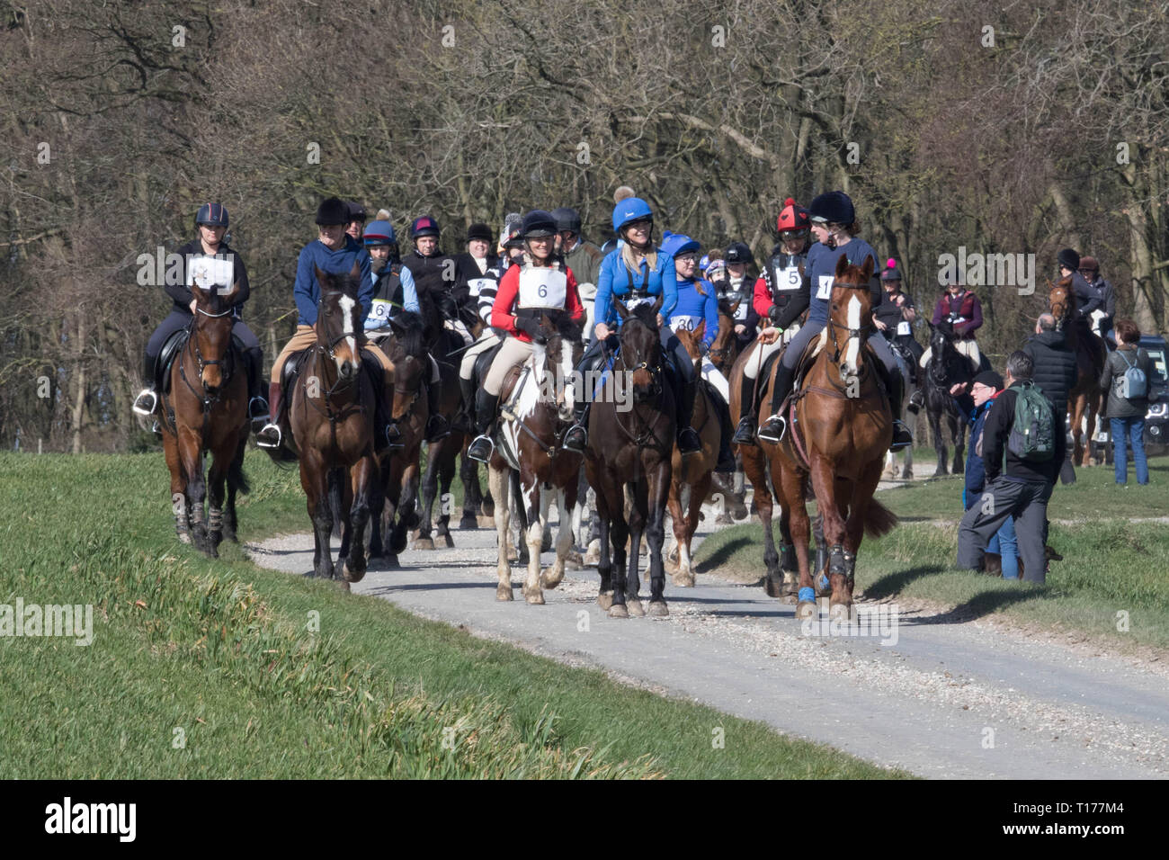 2019 Kiplingcotes Derby Stock Photo Alamy