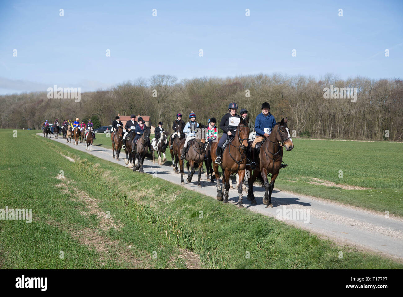 2019 Kiplingcotes Derby Stock Photo Alamy