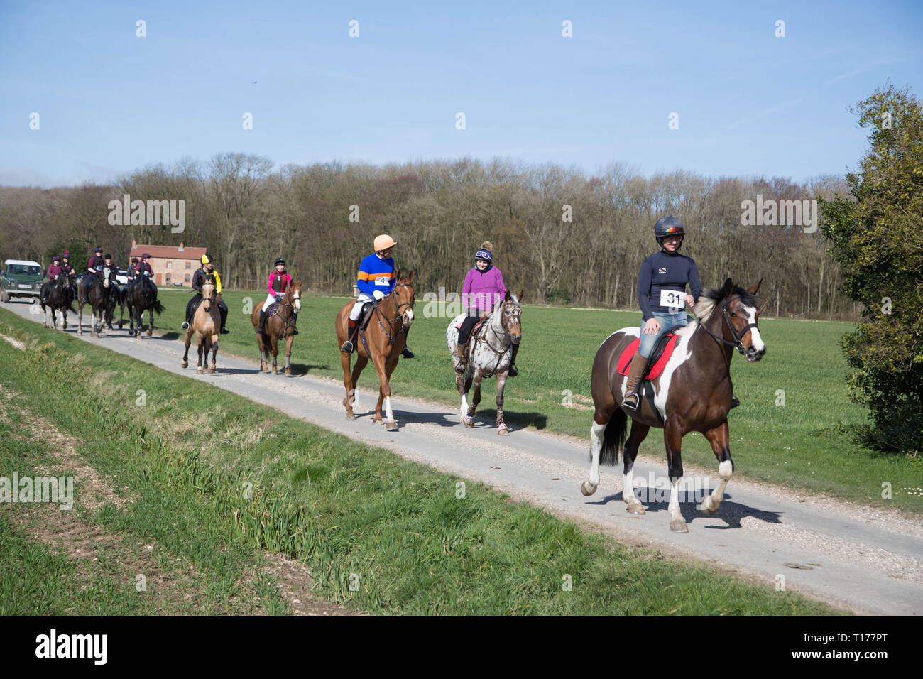 2019 Kiplingcotes Derby Stock Photo - Alamy