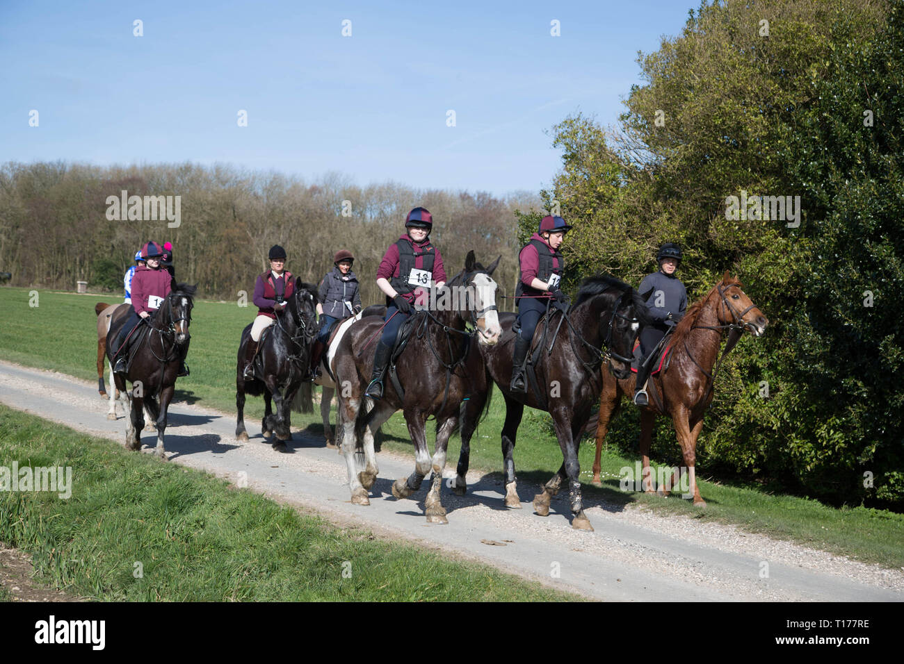 2019 Kiplingcotes Derby Stock Photo Alamy