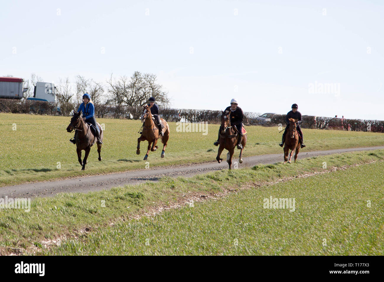 2019 Kiplingcotes Derby Stock Photo Alamy