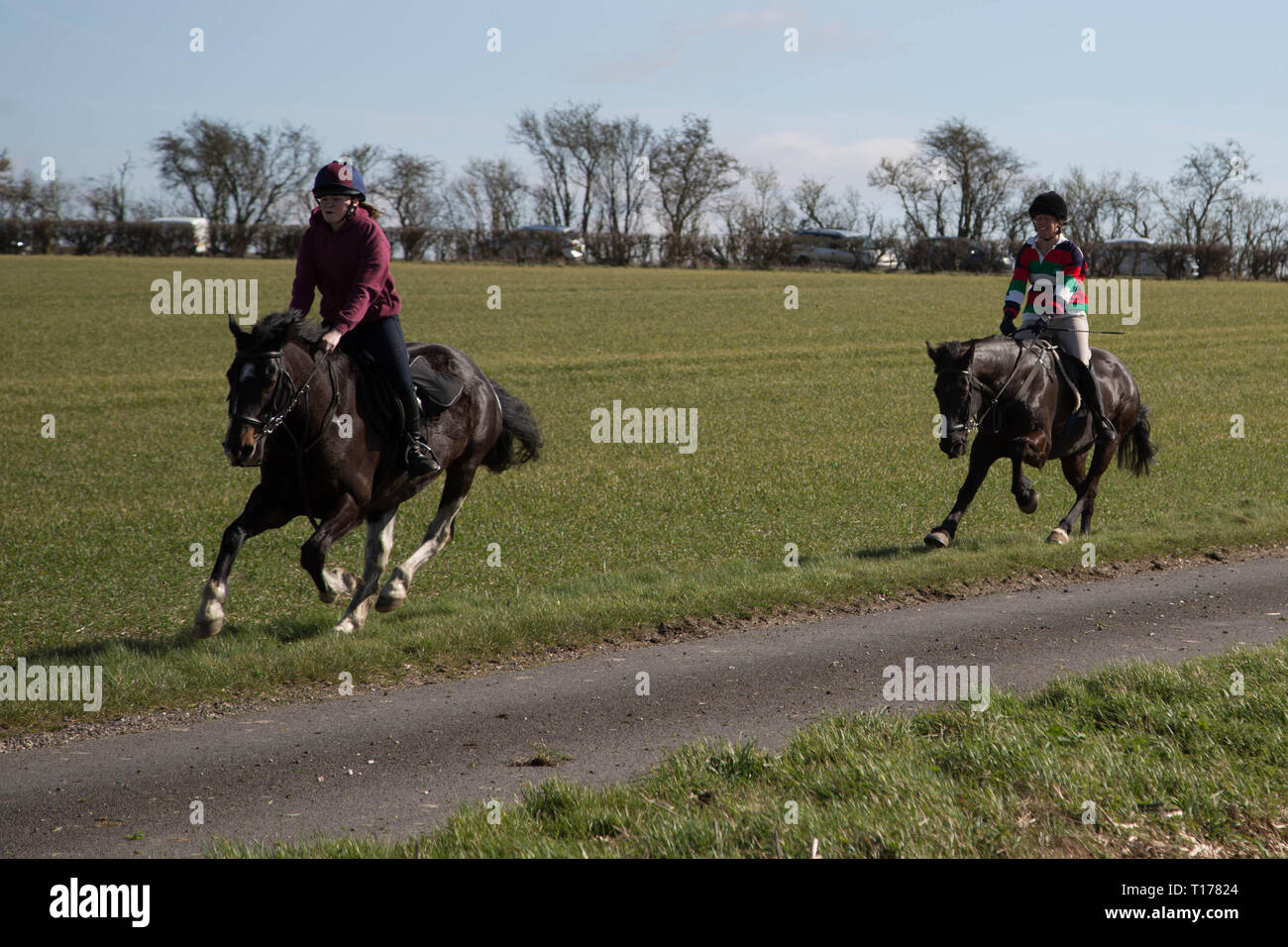2019 Kiplingcotes Derby Stock Photo Alamy