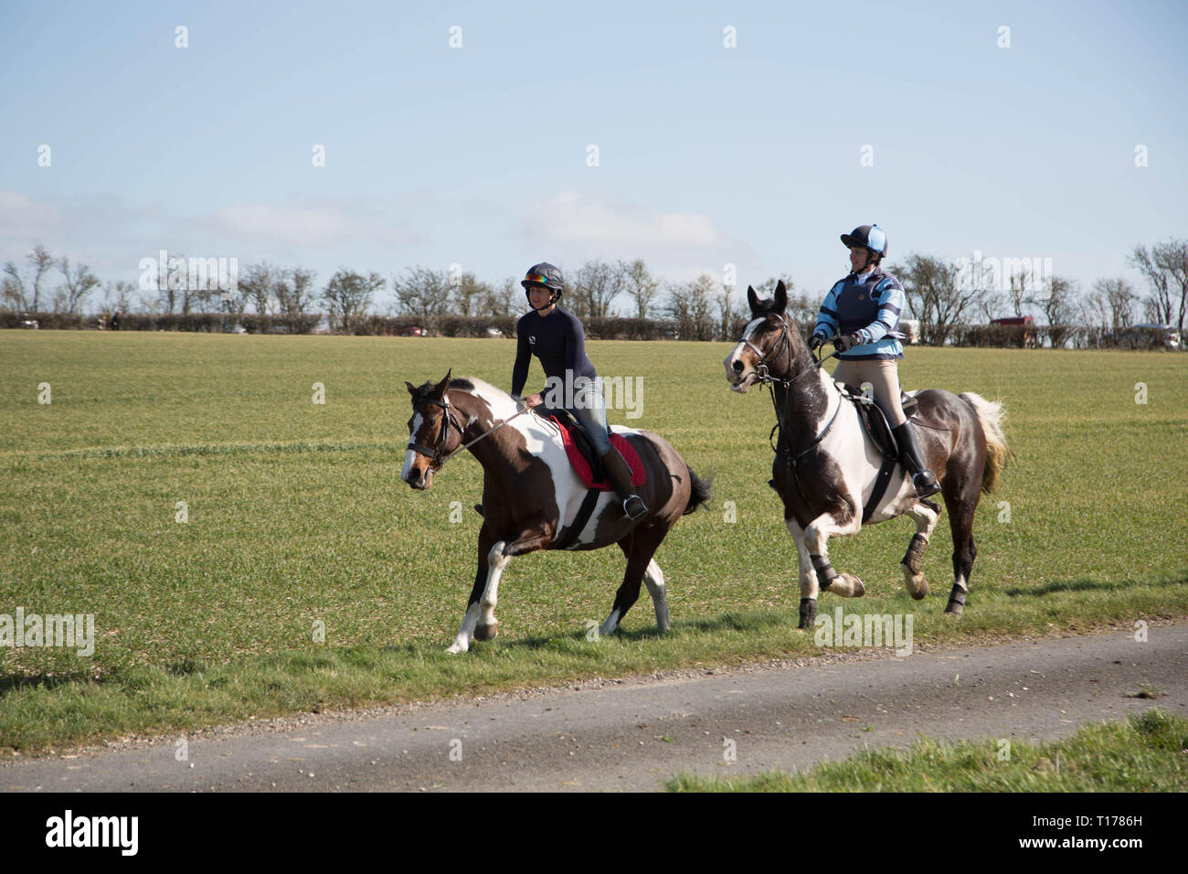 2019 Kiplingcotes Derby Stock Photo Alamy
