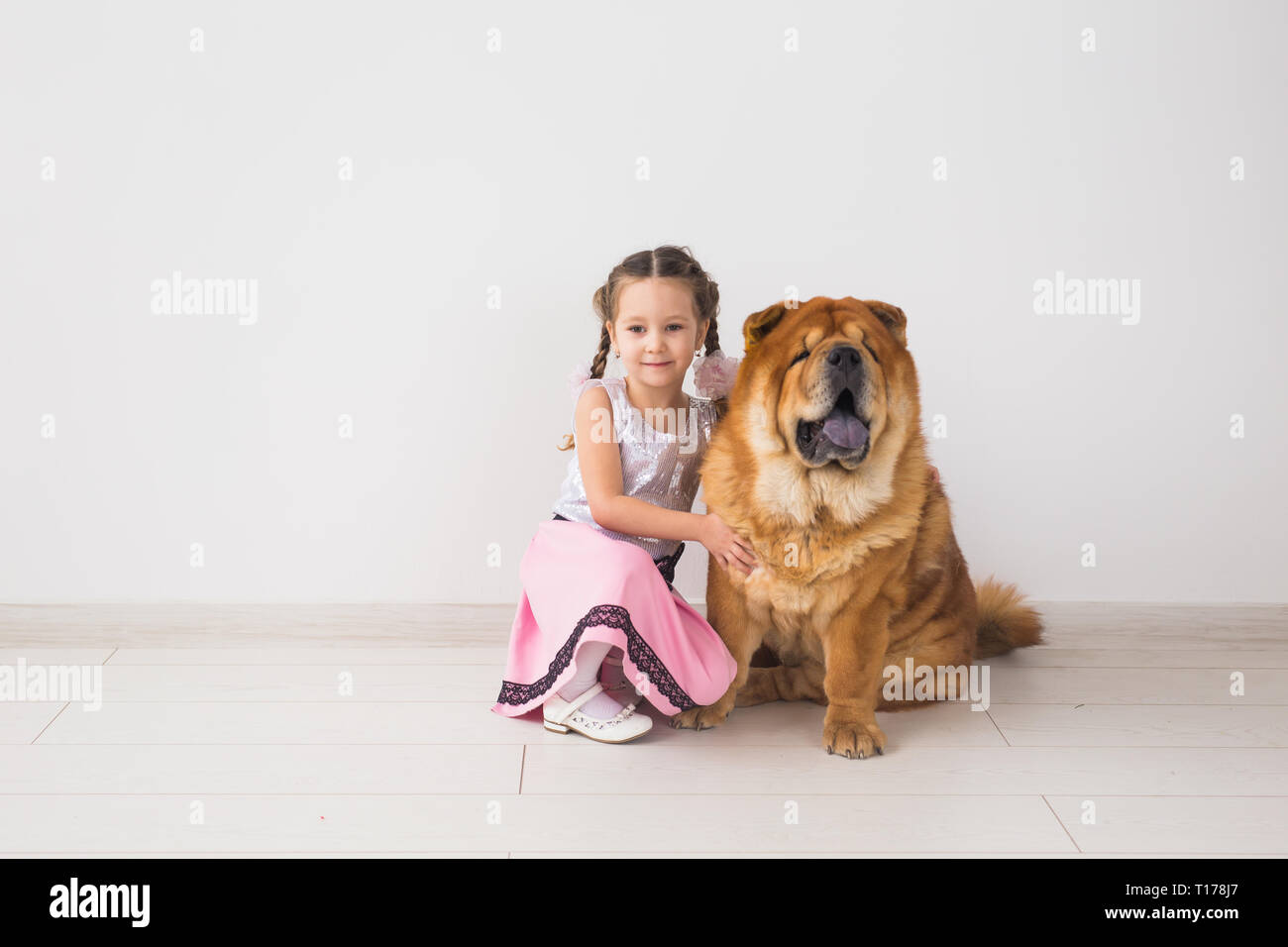 people, animals and children concept - girl with ginger dog of chow-chow on white background Stock Photo