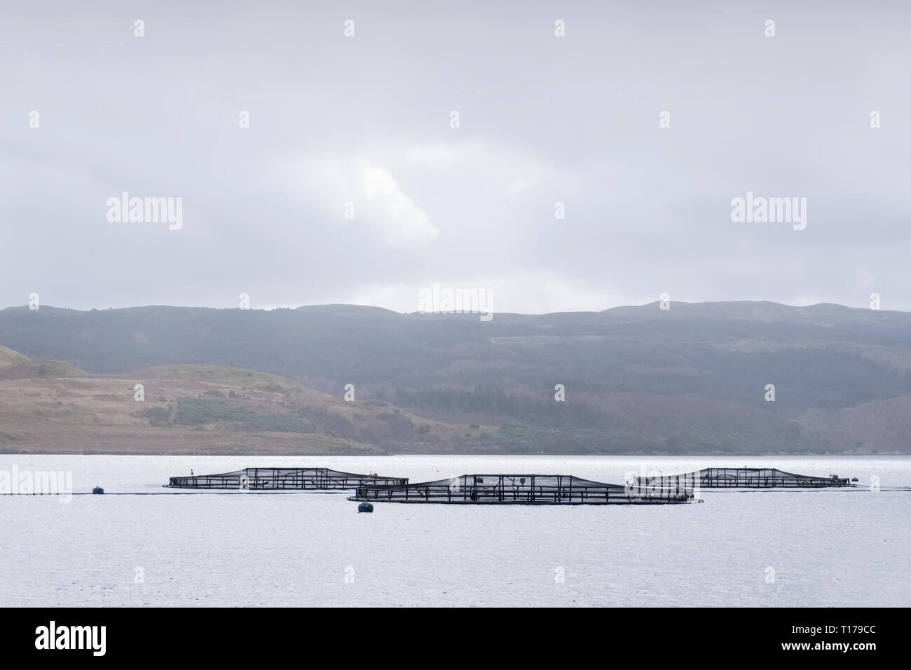 Fish farm nets at sea coast for salmon and trout in Argyll Scotland