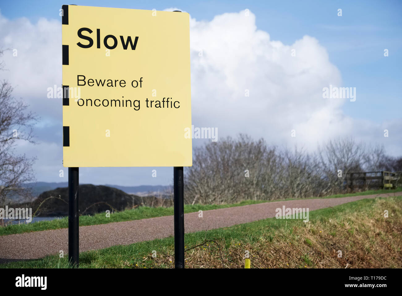 South African Yield Oncoming Traffic Sign 3D Object 2355905321