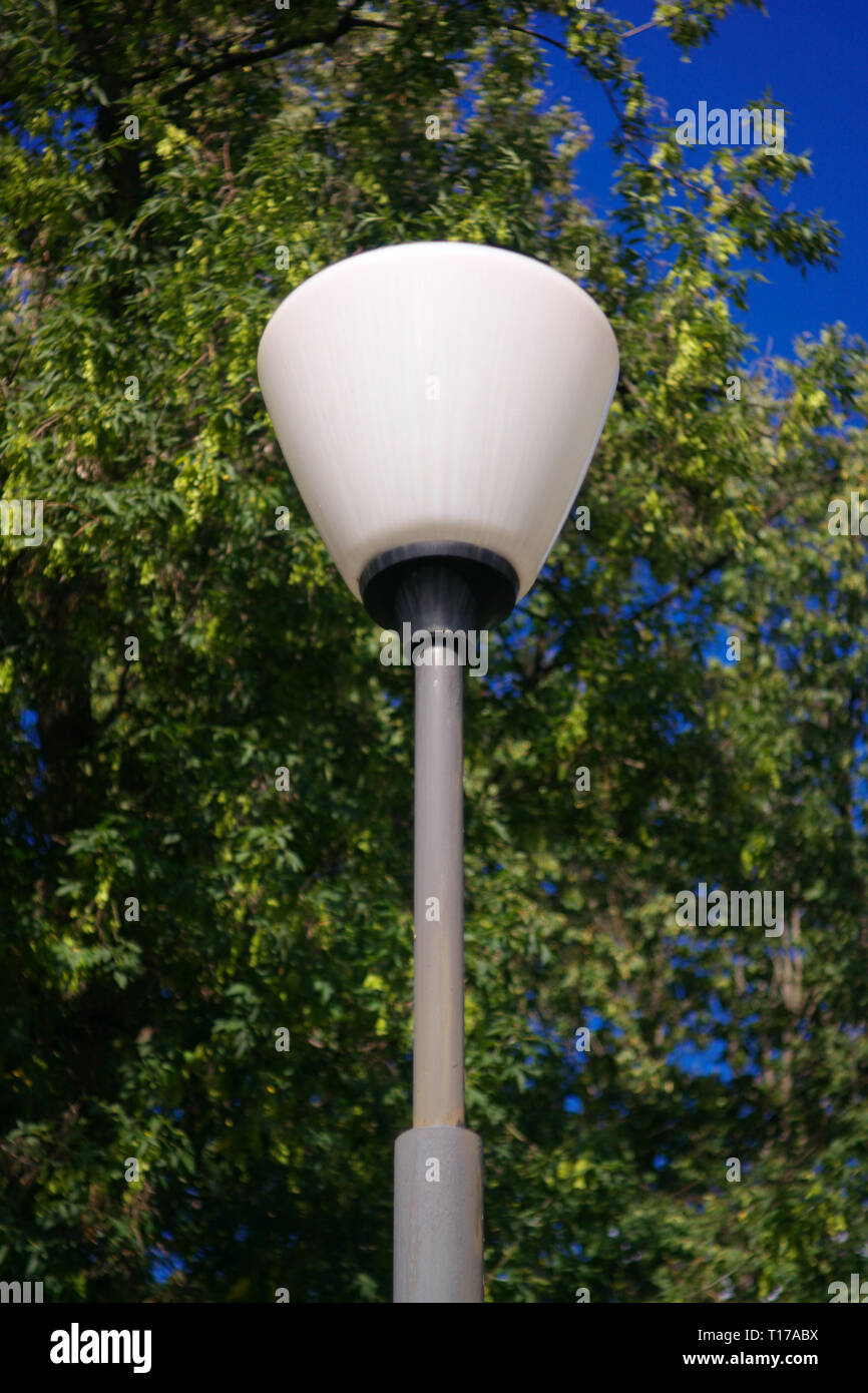 lantern and tree Stock Photo