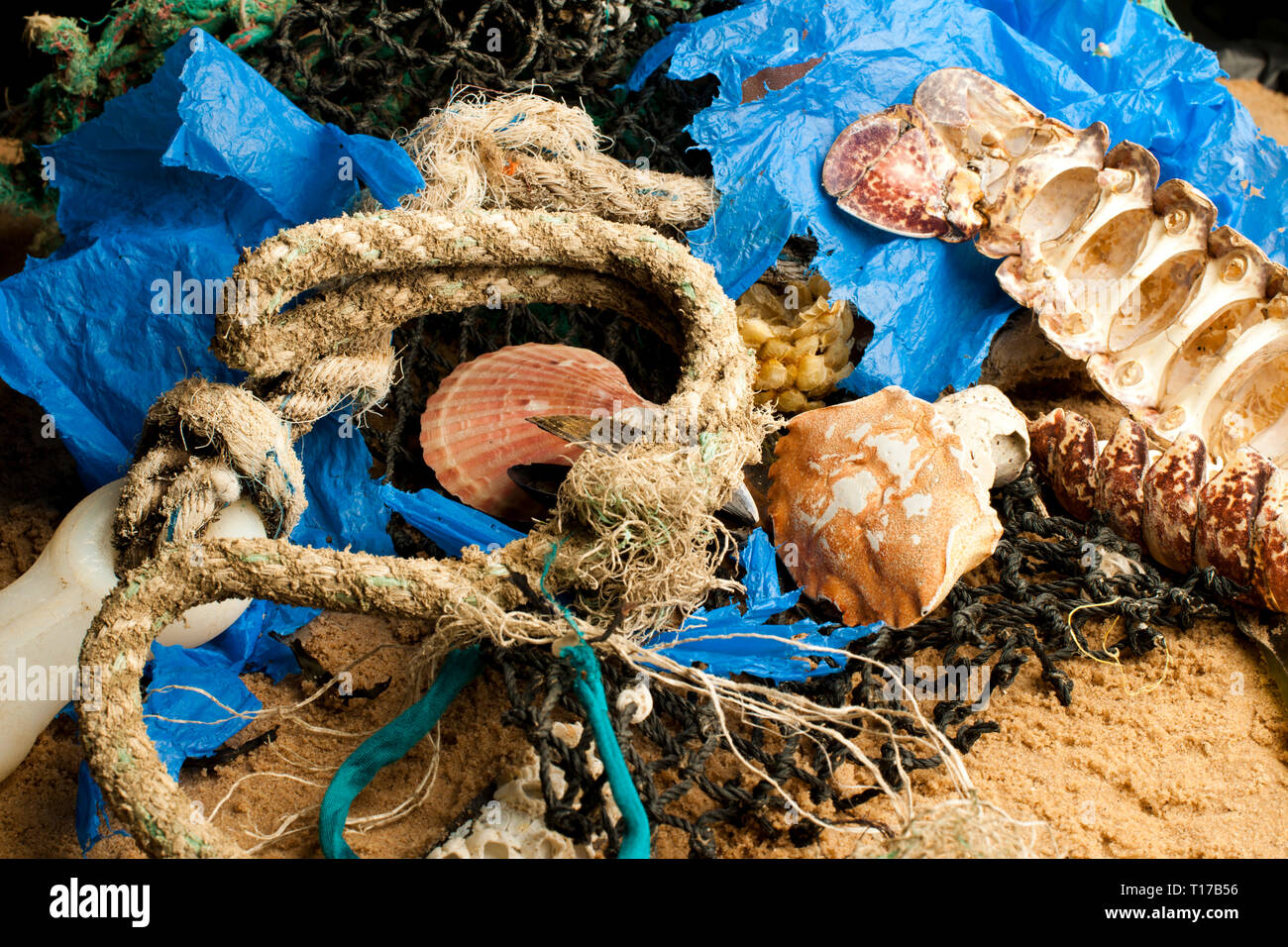 Flotsam and jetsam on a beach Stock Photo Alamy