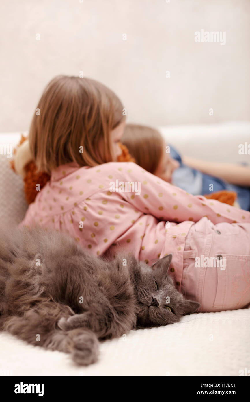 Two little girls (sisters 7 and 8 years old) are watching an e-book and a smartphone at home on the sofa with their cat. Selective focus. Stock Photo