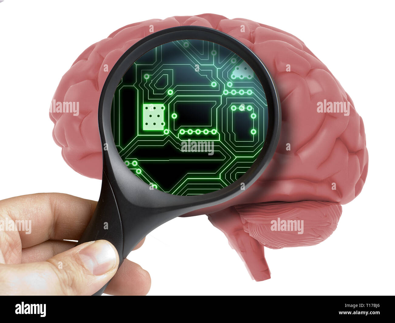 Human Brain Analyzed With Magnifying Inside Electronic