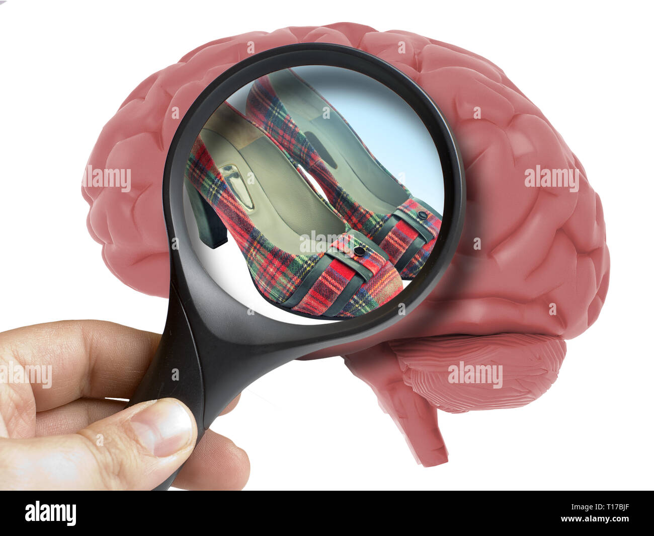 Human Brain Analyzed with magnifying glass women shoes inside addiction isolated on white Stock Photo