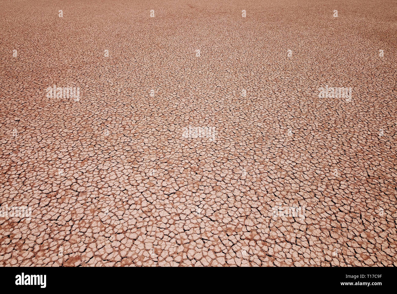 Close up of a dried up lake due to climate change Stock Photo