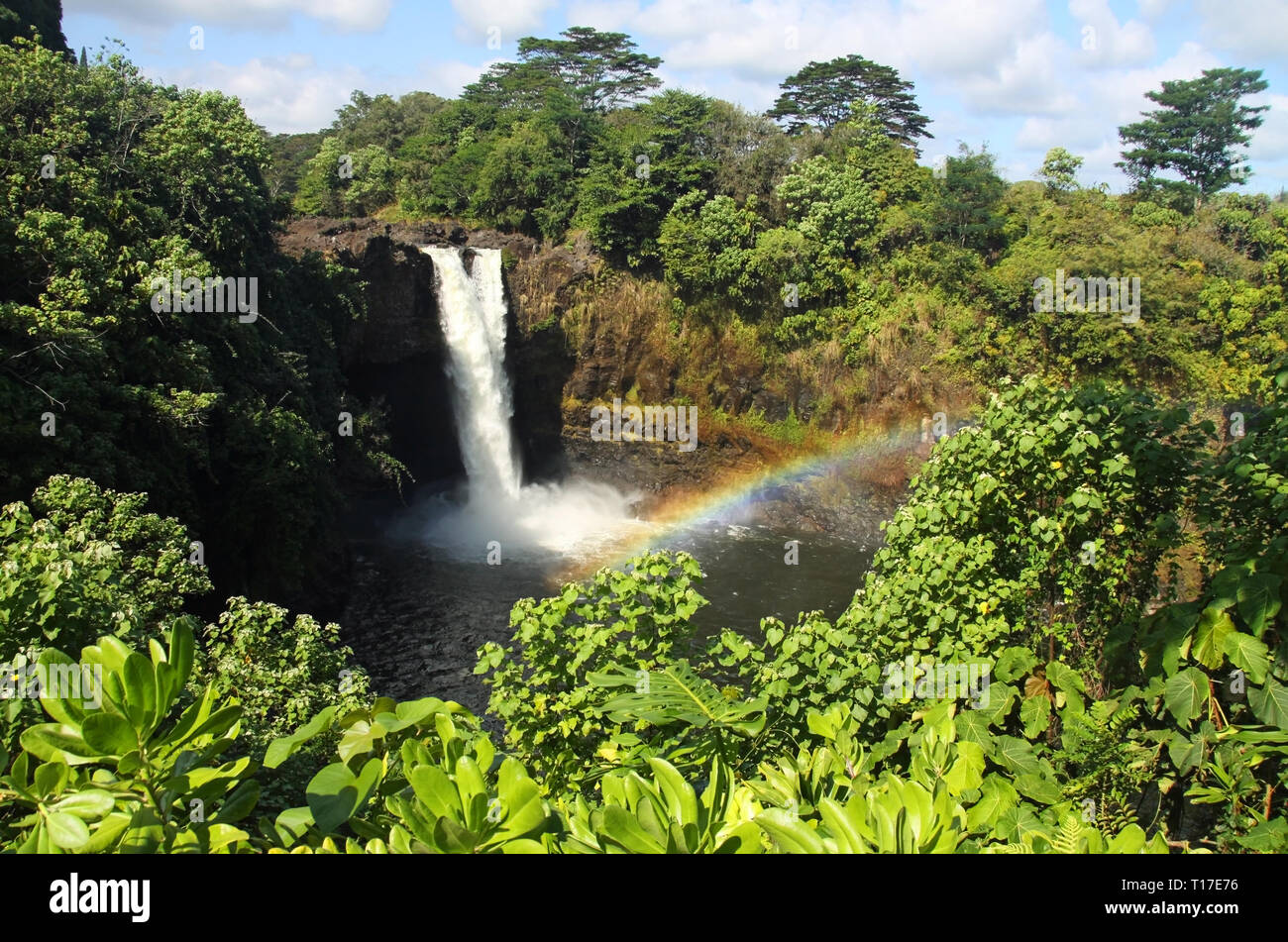 Big tropical rainbow hi-res stock photography and images - Alamy