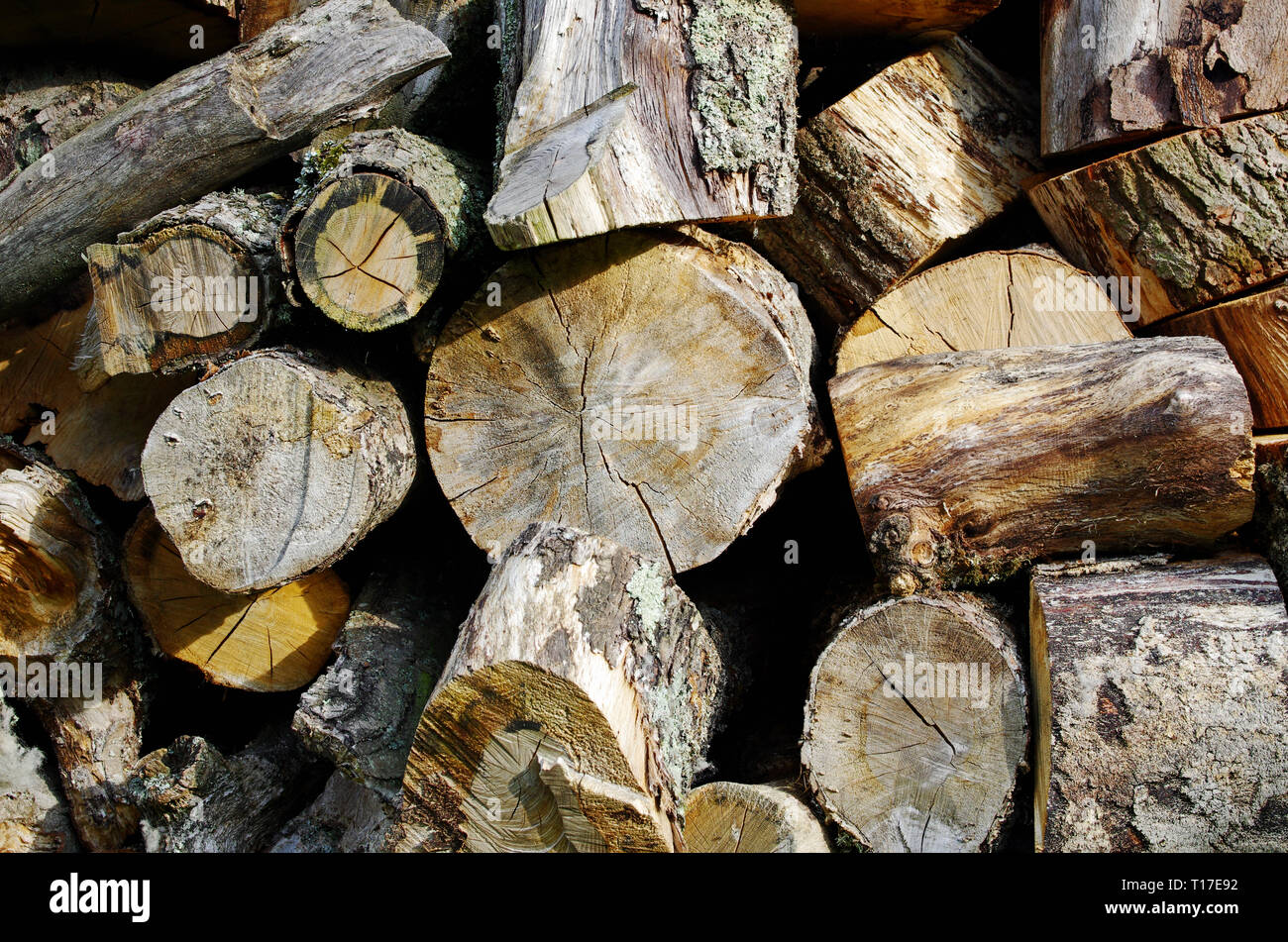 Close-up of old rough-hewn textured chopped logs stacked for firewood, England, UK Stock Photo