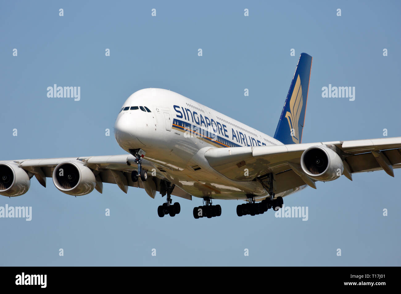 Singapore Airbus A380 800 Jet