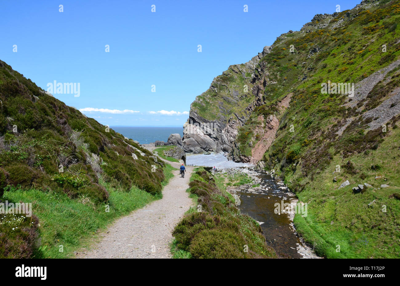 Route beside the stream, to the beach through Heddon Valley, coast, Devon, UK Stock Photo