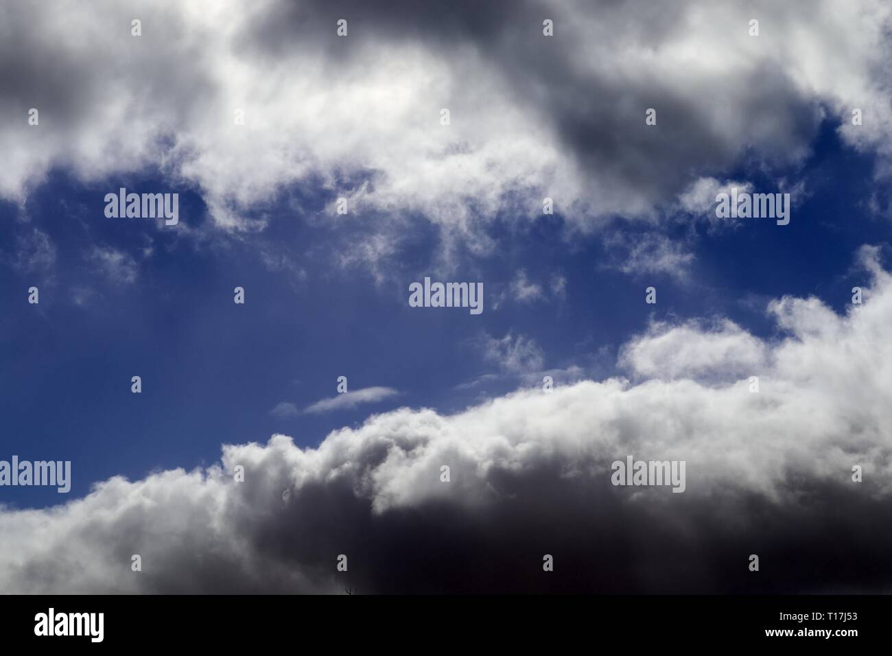 Beautiful white fluffy clouds on a deep blue sky Stock Photo - Alamy
