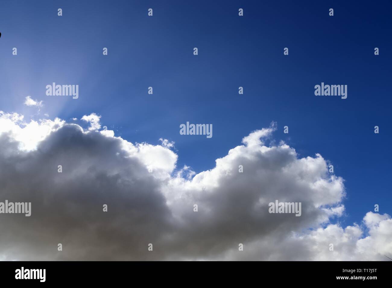 Beautiful white fluffy clouds on a deep blue sky Stock Photo - Alamy