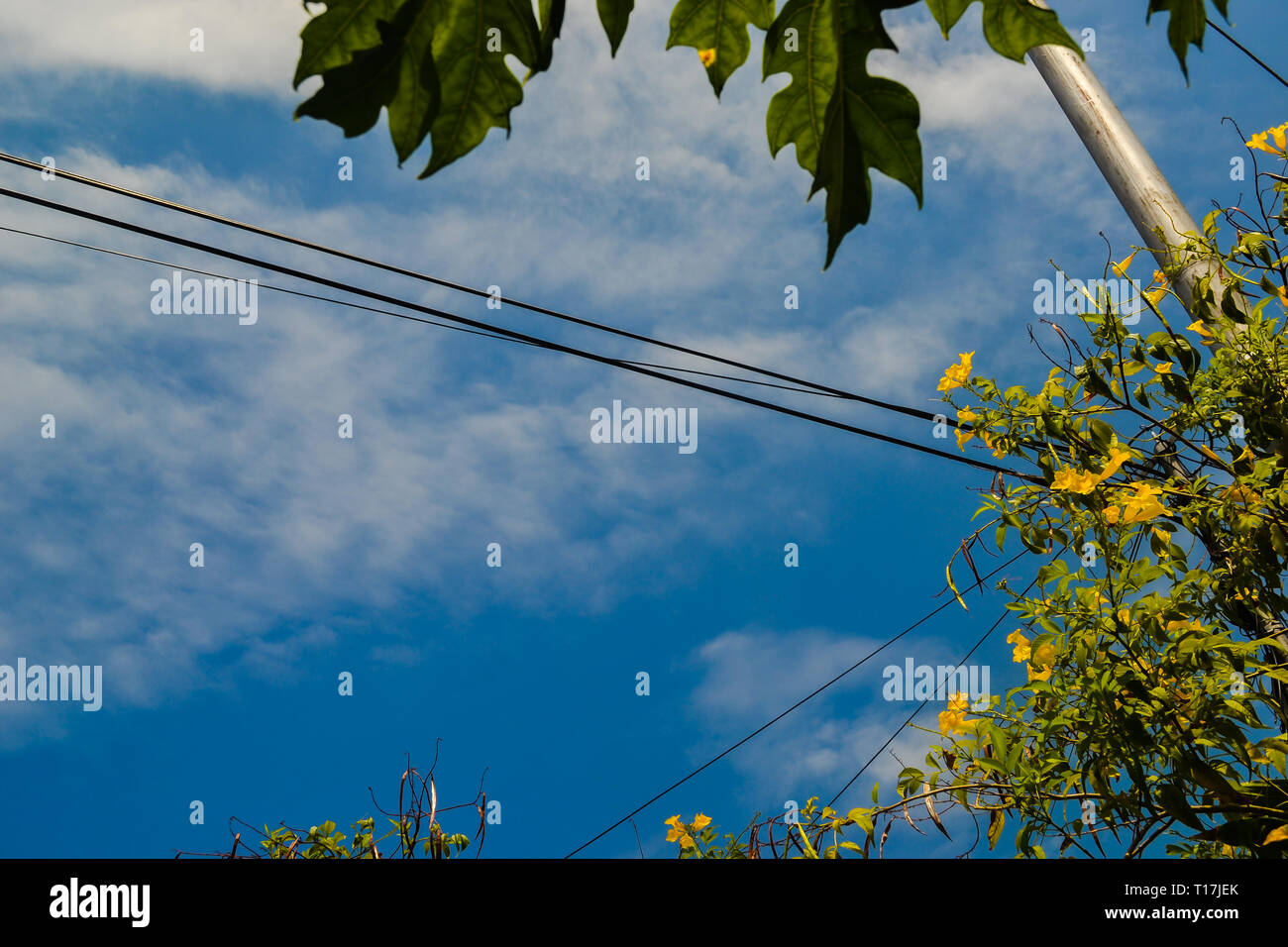Electric wires with blue sky background Stock Photo