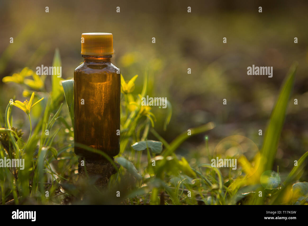 Natural remedies - natural cosmetics.  Medical amber bottle - natural medicine, Stock Photo