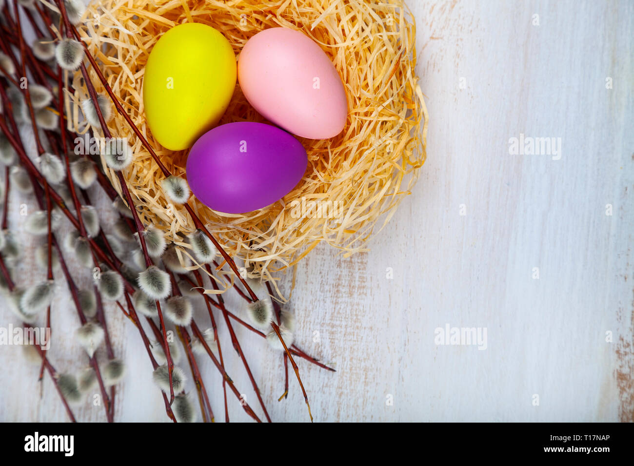 Easter still life with Easter eggs in the nest and willow. Easter ...