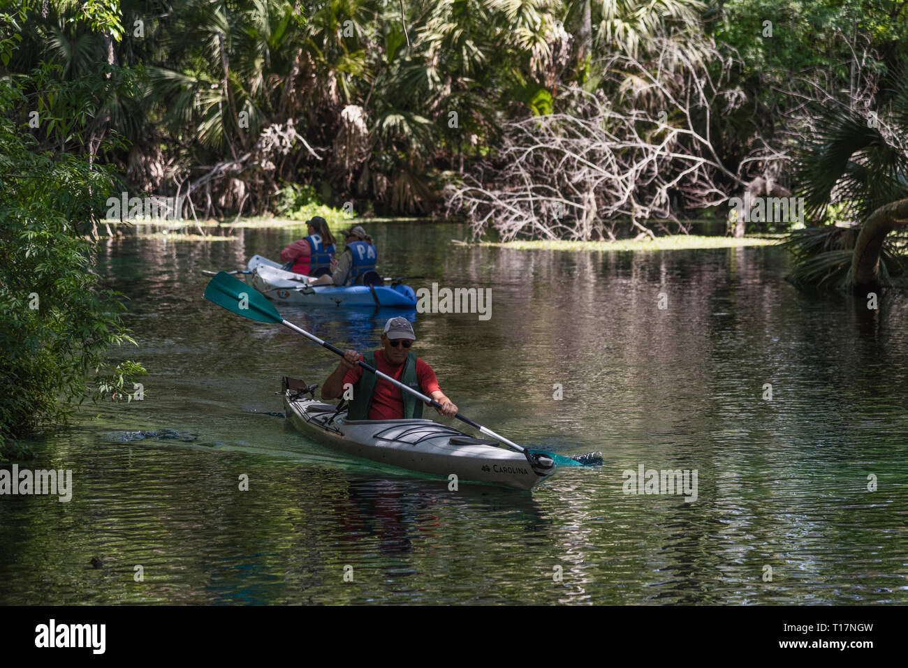 Kayaking Silver Springs River Ocala, Florida USA Stock Photo Alamy
