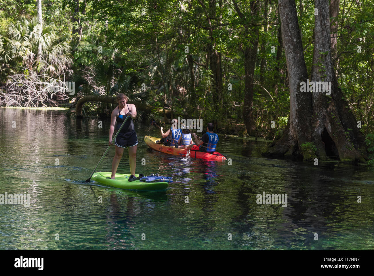 Kayaking Silver Springs River Ocala, Florida USA Stock Photo Alamy