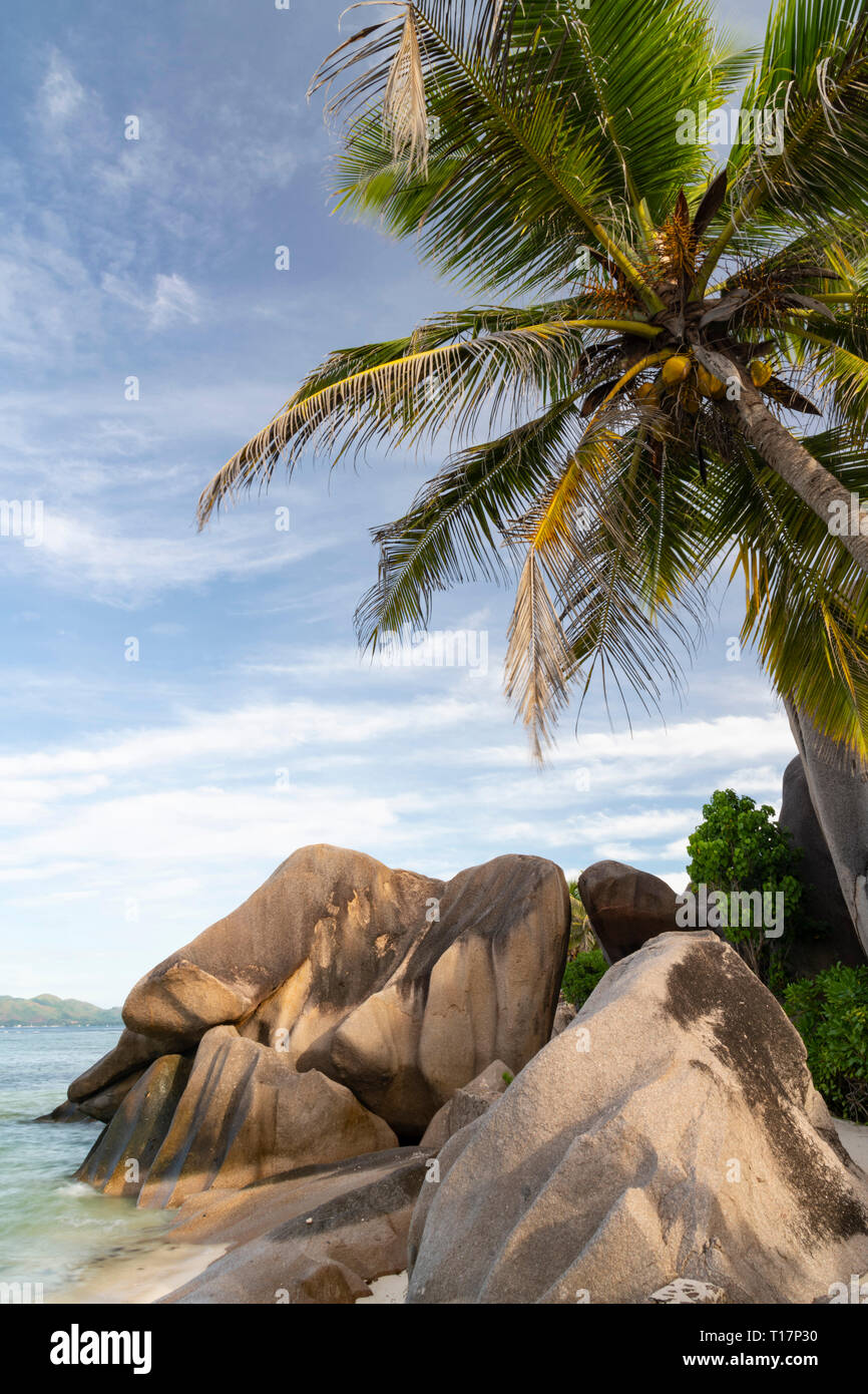 Distinctive large granite boulders and palm trees on L’Anse Source d’Argent, La Digue, the Seychelles Stock Photo