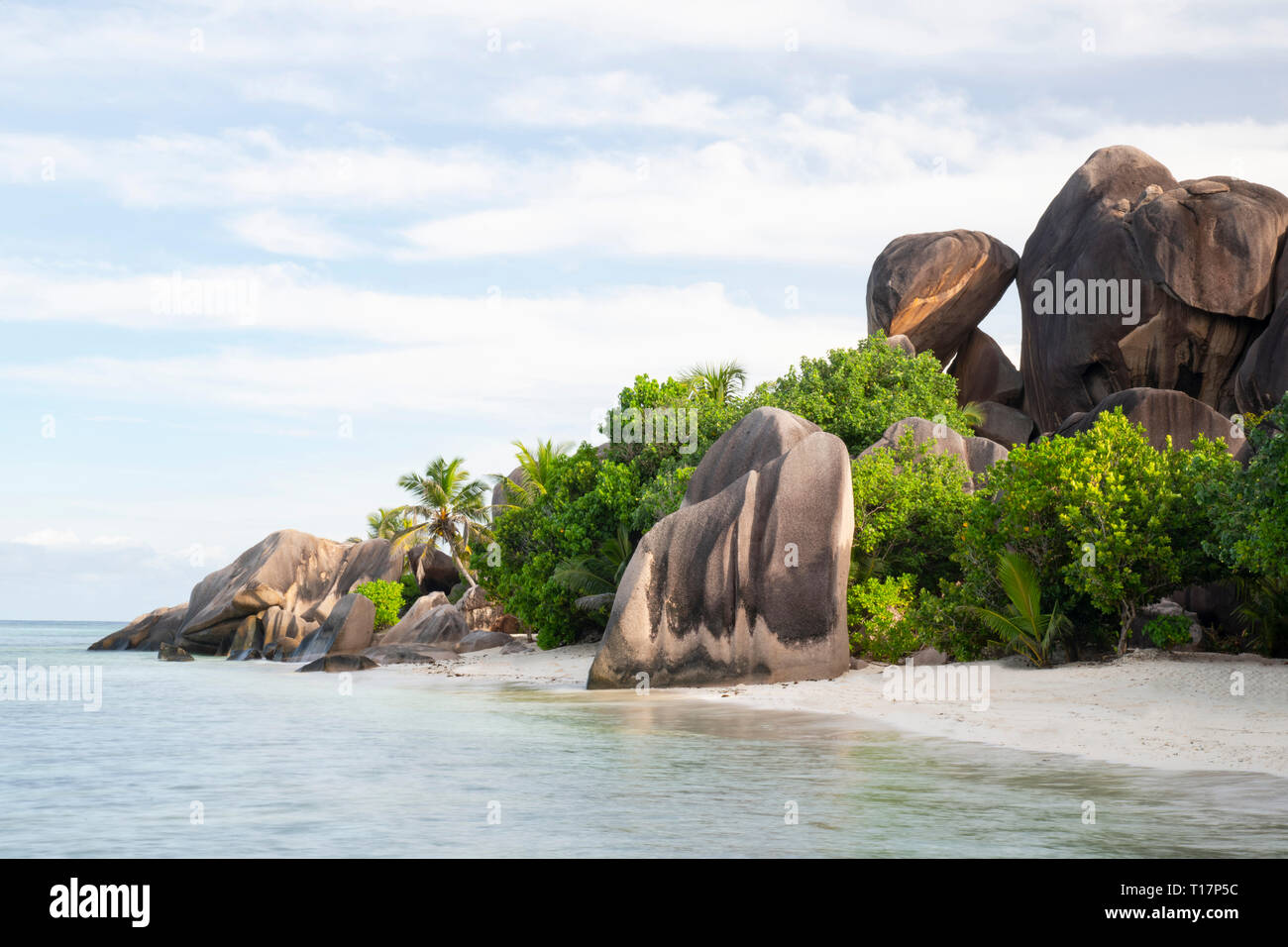 Large granite boulders and palm trees on L’Anse Source d’Argent, La Digue, the Seychelles Stock Photo
