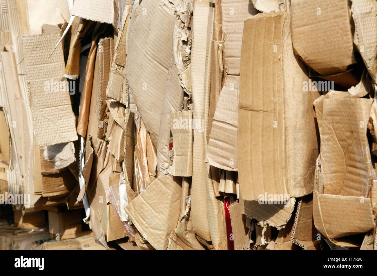 Recycled Cardboard Bales Stock Photo Alamy