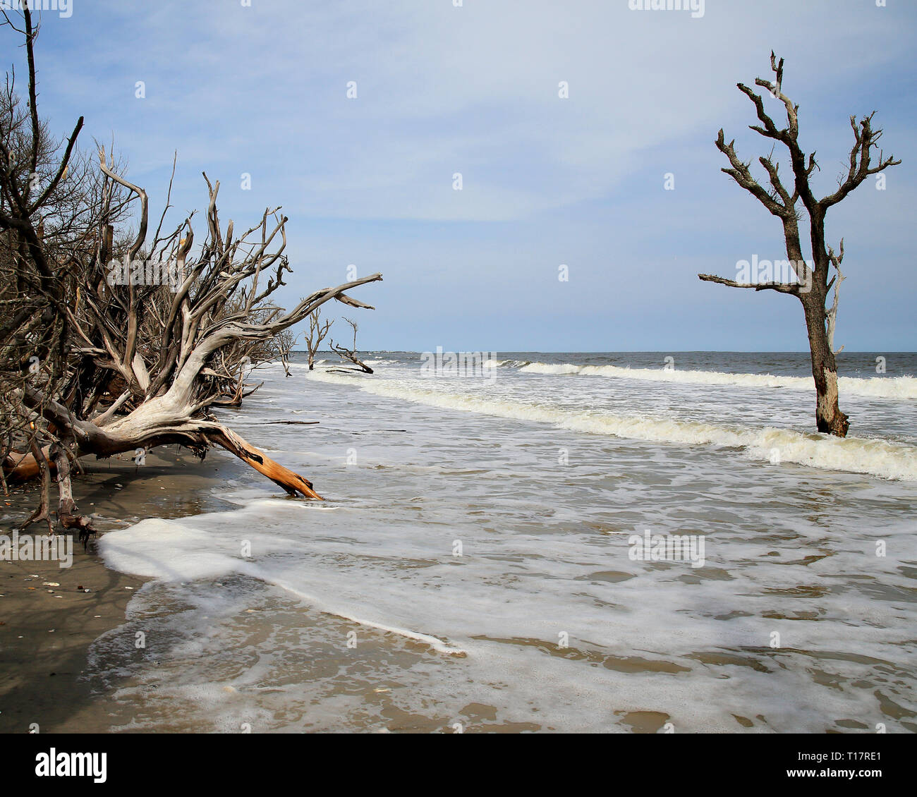 botany bay beach Edisto island south carolina Stock Photo Alamy