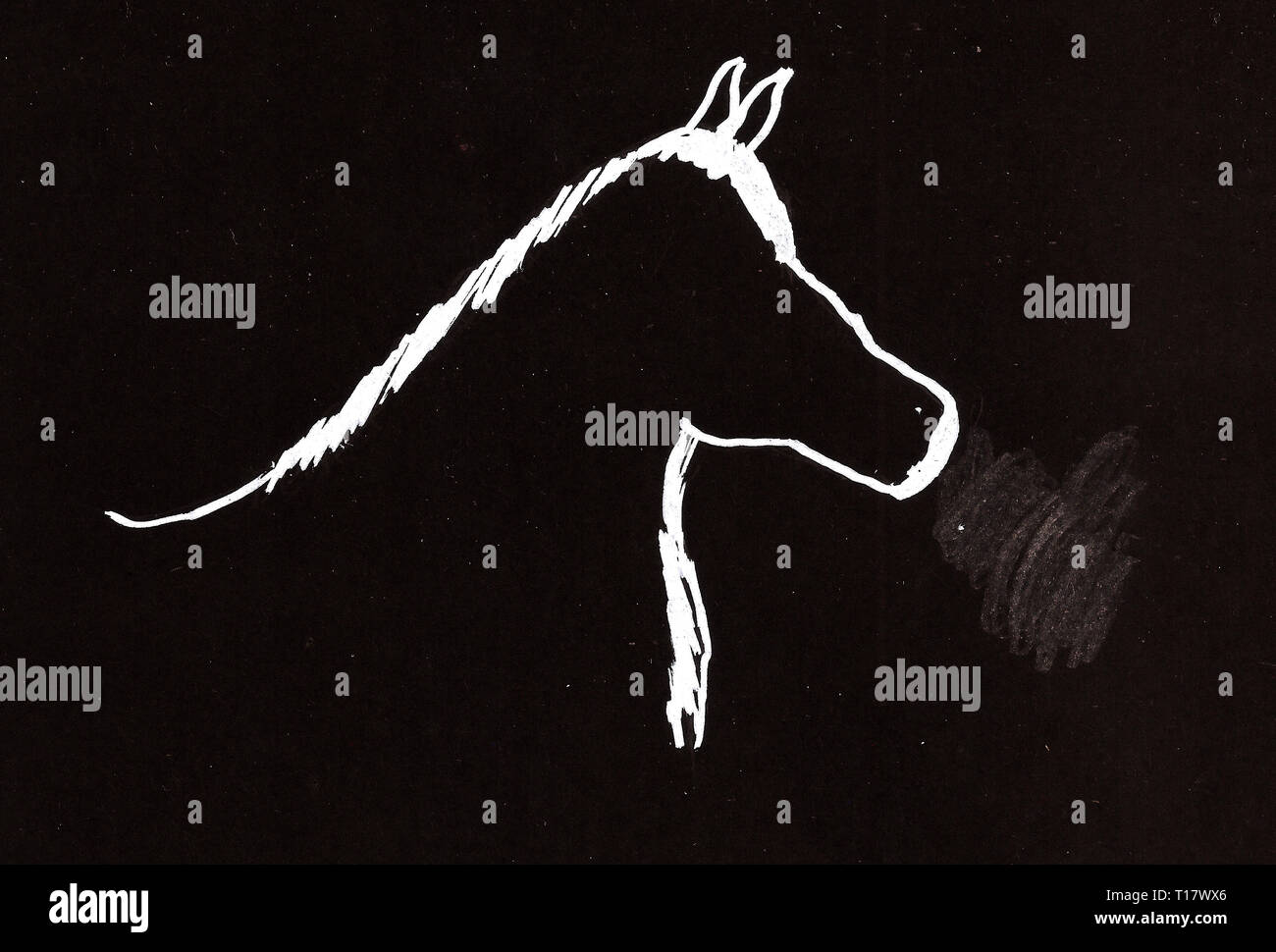 Horse head drawing icon isolated on black background. Horse head logo. Horse head silhouette Stock Photo