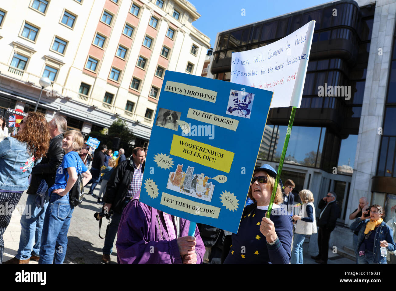 Madrid, Spain. 23rd Mar, 2019. A participant seen with a placard disapproving Brexit during the demonstration.The British community in Spain demonstrated in favor of another referendum on Brexit at Plaza de ColÃ³n ''in defense of the rights of the five million Europeans in the United Kingdom and British in the European Union and to request a second referendum on the exit of Great Britain from the EU Credit: Jesus Hellin/SOPA Images/ZUMA Wire/Alamy Live News Stock Photo