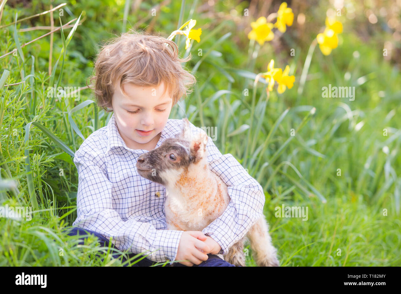 Arley, Worcestershire, UK. 24th March, 2019. Five-year-old Henley Mills with Martha, a day-old lamb, on his family's farm in Arley, near Kidderminster, Worcestershire. Peter Lopeman/Alamy Live News Stock Photo