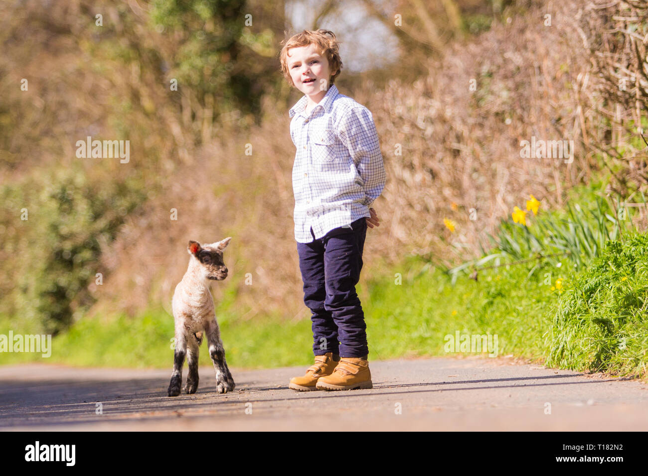 Arley, Worcestershire, UK. 24th March, 2019. Five-year-old Henley Mills with Martha, a day-old lamb, on his family's farm in Arley, near Kidderminster, Worcestershire. Peter Lopeman/Alamy Live News Stock Photo