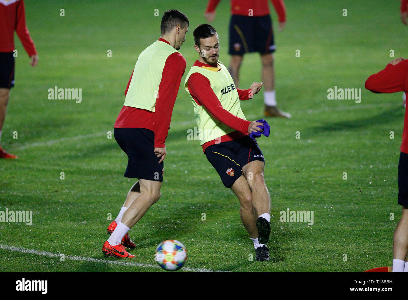 Podgorica, Montenegro. 24th Mar, 2019. Montenegro train prior to their UEFA Euro 2020 qualifier against England at The Montenegro FA on March 24th 2019 in Podgorica, Montenegro. (Photo by Daniel Chesterton/phcimages.com) Credit: PHC Images/Alamy Live News Stock Photo