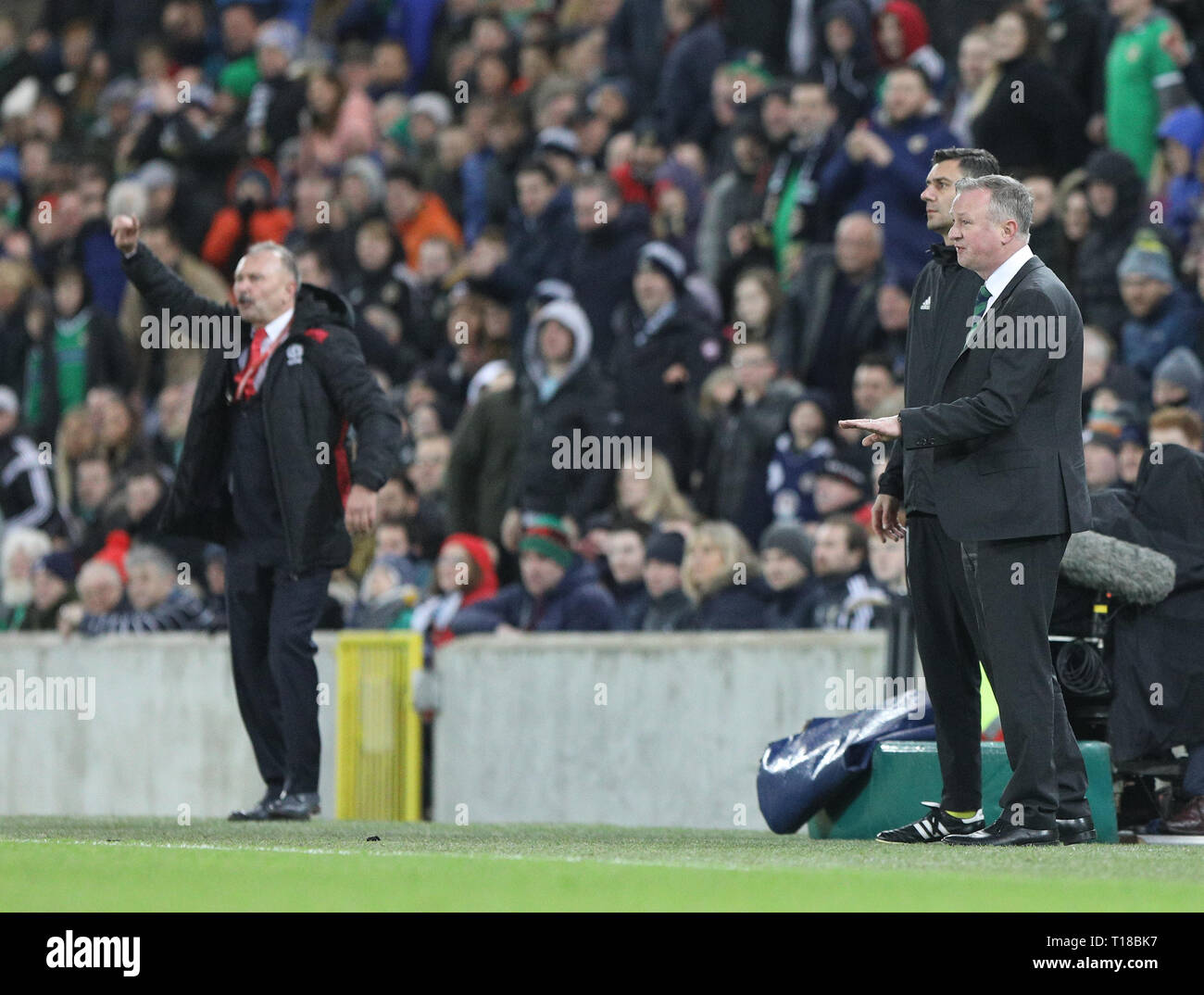 Windsor Park, Belfast, Northern Ireland. 24th Mar, 2019. UEFA European Championships Qualification football, Northern Ireland versus Belarus; Northern Ireland Coach Michael O'Neill calms his players whilst Belarus Coach Igor Kriushenko urges his players on Credit: Action Plus Sports/Alamy Live News Stock Photo