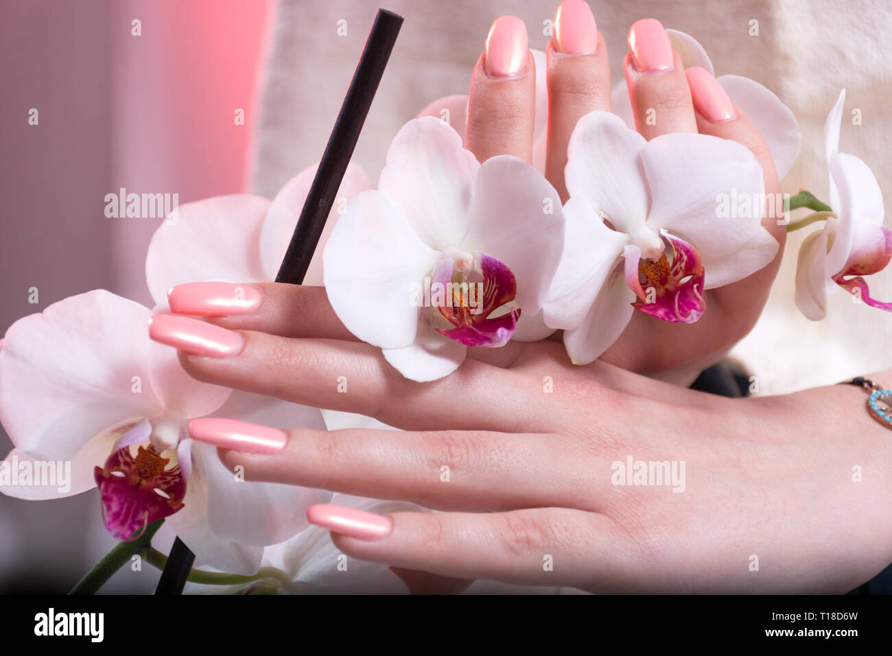 Young woman hands with pink spring manicure on nails holding white orchids flower in hands in beauty salon. Manicure and Beauty concept. Close up Stock Photo