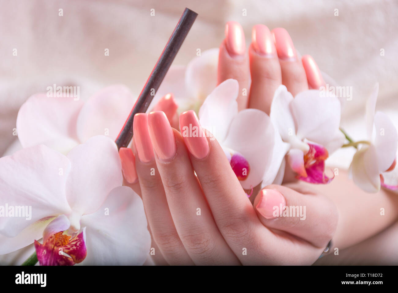 Young girl hands with spring pink nails polish holding white orchid flower in hands. Beauty and manicure concept. Close up, selective focus Stock Photo