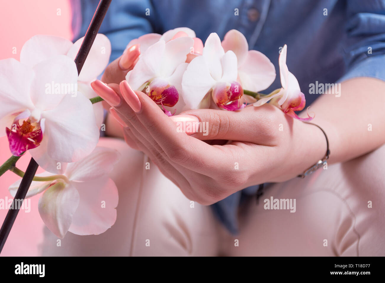 Woman with pink spring manicure on nails polish holds orchids flowers in hands. Manicure and beauty concept. Close up, selective focus Stock Photo