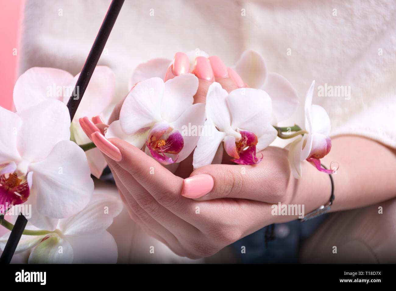 Young girl hands with pink spring manicure on nails holding white orchids flower in beauty studio. Manicure and Beauty concept. Close up Stock Photo