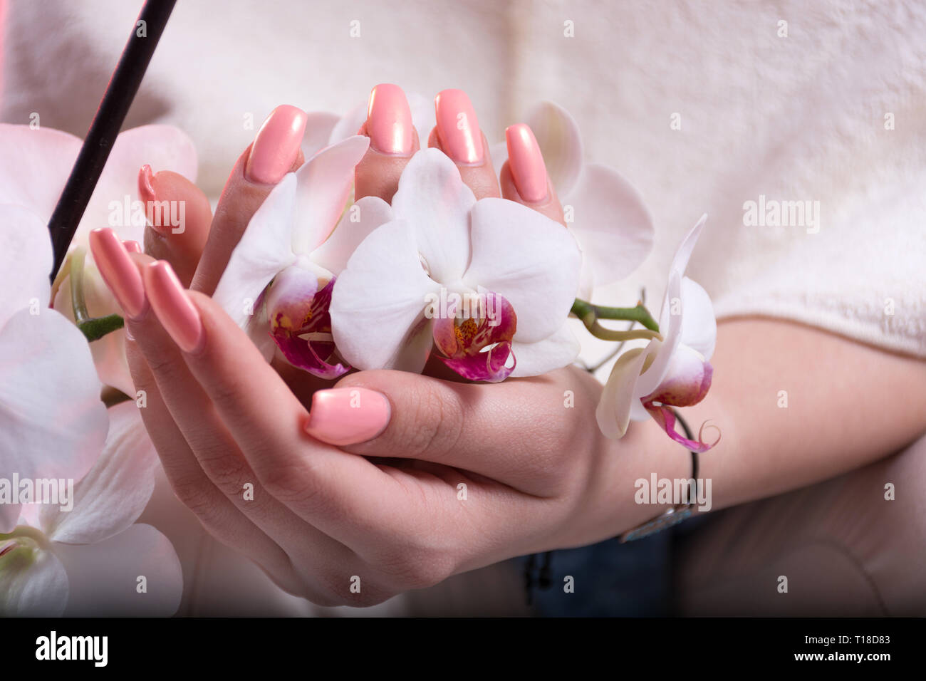 Young girl hands with spring pink nails polish holding white orchid flower in hands. Beauty and manicure concept. Close up, selective focus Stock Photo