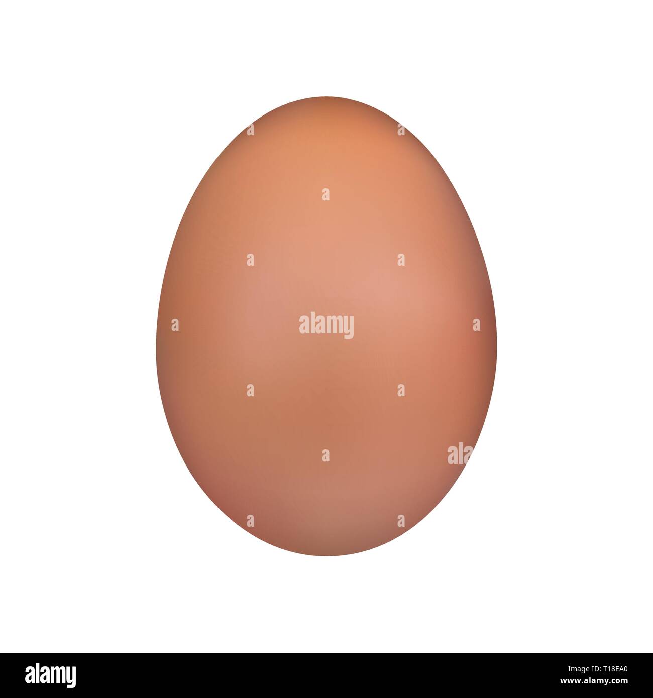 Brown egg. Chicken egg Easter symbol. Vector illustration isolated on white background Stock Vector