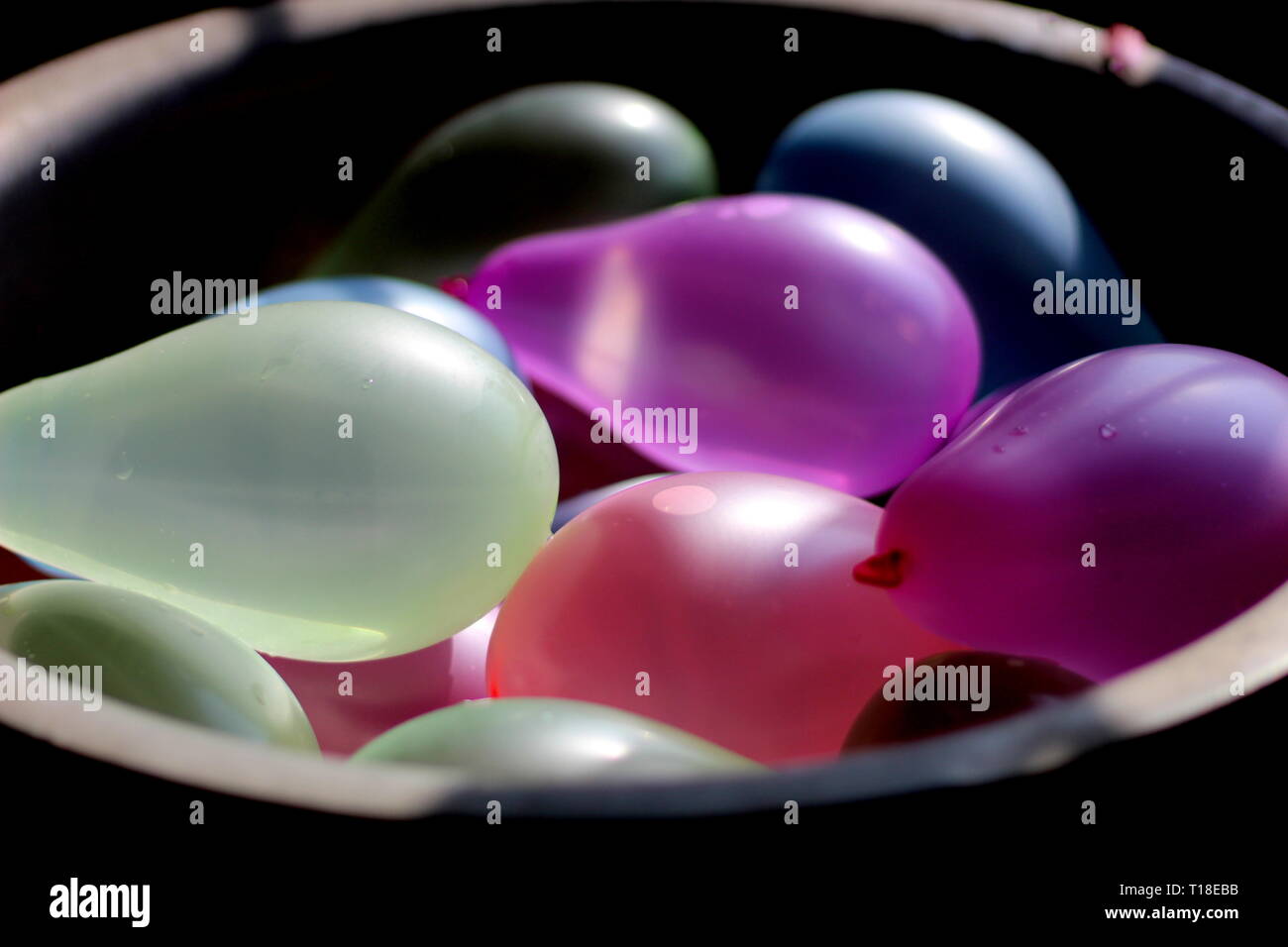 water balloons for holi festival Stock Photo Alamy