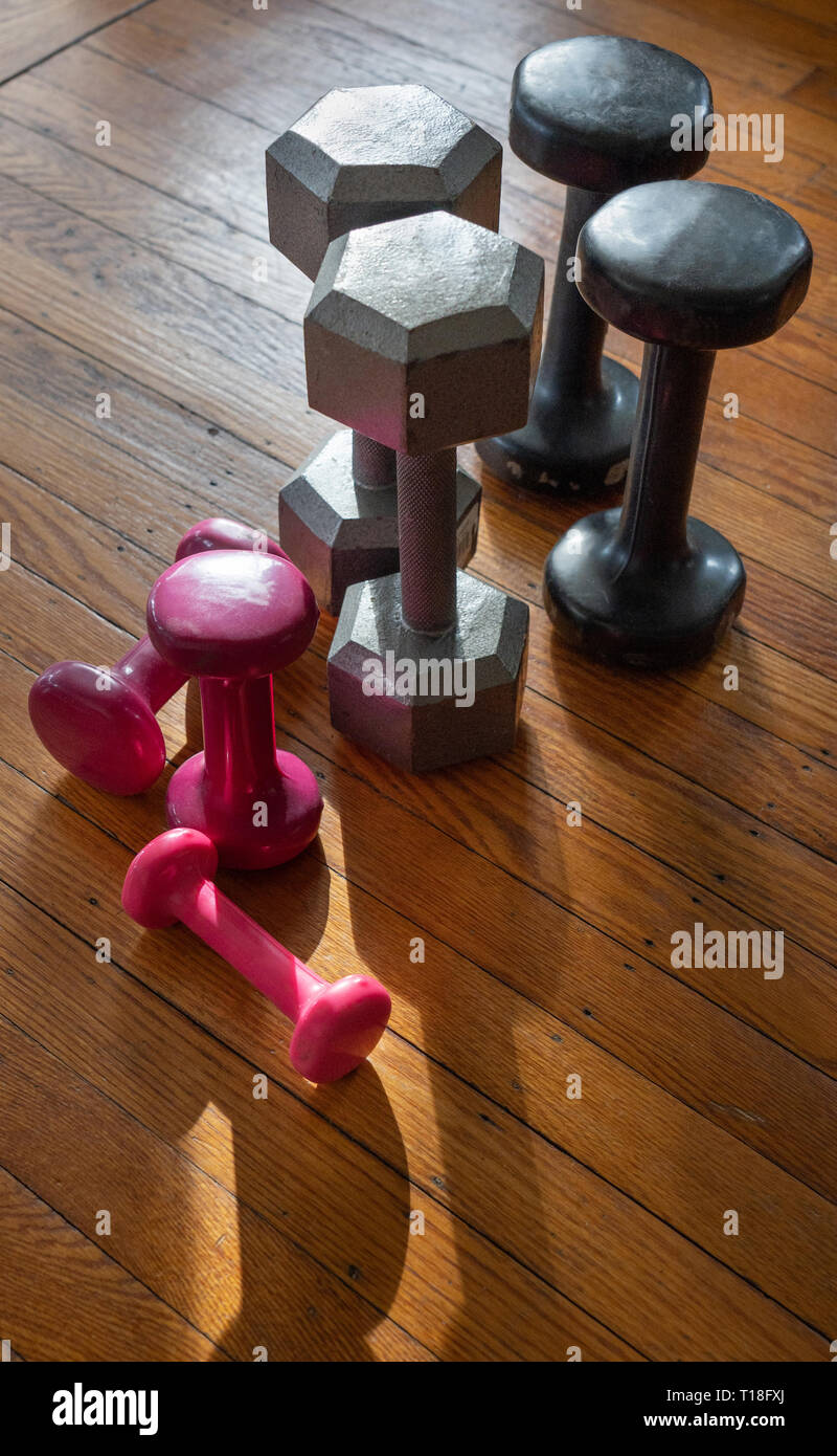 weights on the floor, dumb bells Stock Photo