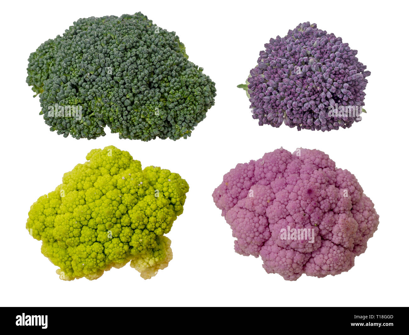 Colourful vegetables, florets isolated on white. Raw cauliflower, broccoli and purple sprouting. Healthy assortment. Stock Photo