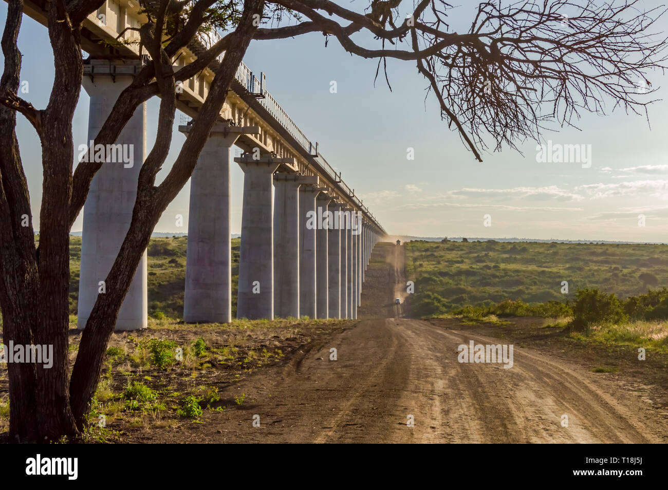 View of the viaduct of the Nairobi railroad to mombassa in the savannah of Nairobi Park in central Kenya Stock Photo