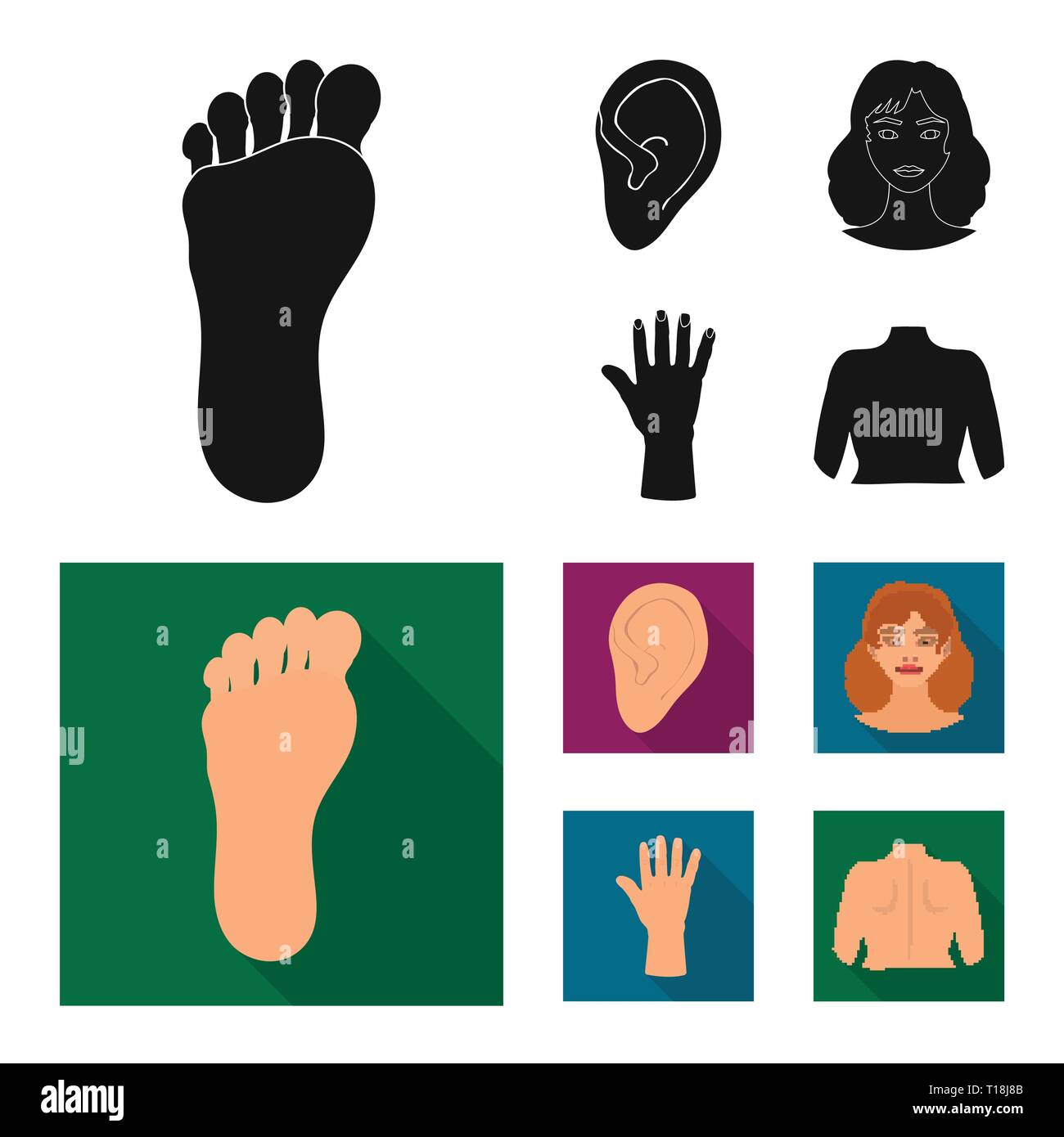 Vector illustration of body and part icon. Set of body and anatomy ...