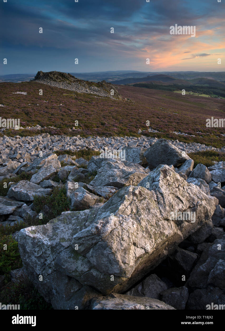 Beautiful Shropshire countryside in September viewed from the quartzite ridge of The Stiperstones, Shropshire's second highest hill, England, UK. Stock Photo