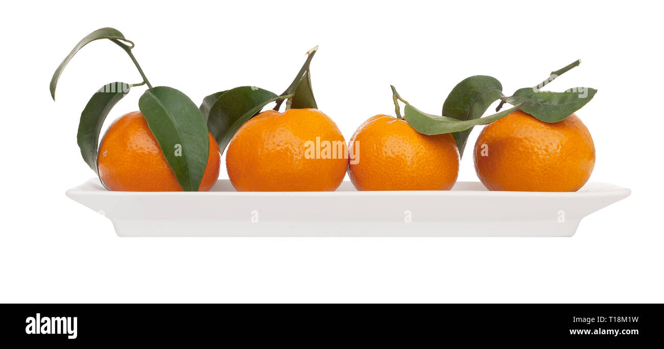 Four juicy small oranges, tangerines, with leaves on white plate isolated on white. Modern, minimalist fresh fruit. Stock Photo
